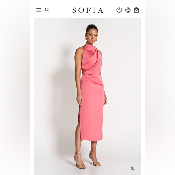 NWT Sofia “Amelie” Satin Dress in “Desert Rose” - Picture 3 of 6